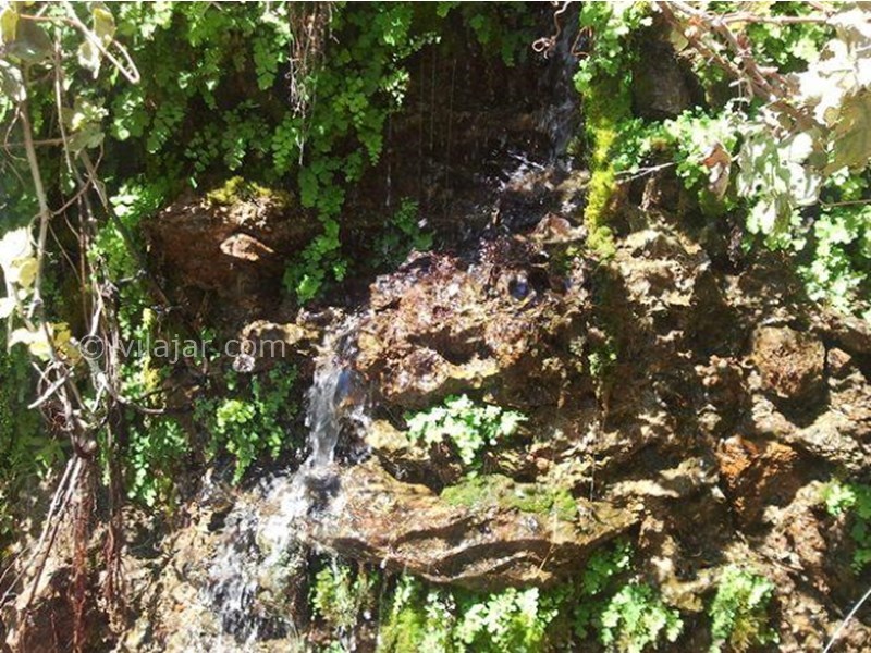 عکس شماره 3 - چشمه انگورستانی سمنان