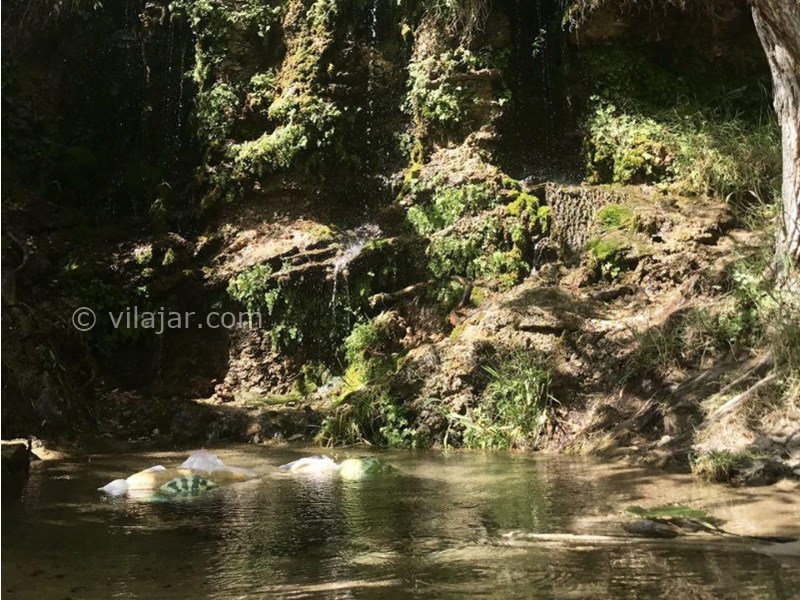 عکس شماره 5 - چشمه انگورستانی سمنان