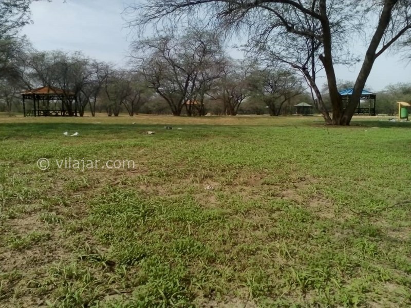 عکس شماره 9 - پارک جنگلی چاهکوتاه بوشهر