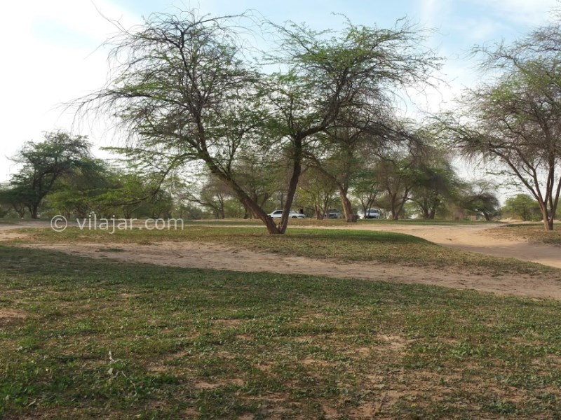 عکس شماره 10 - پارک جنگلی چاهکوتاه بوشهر