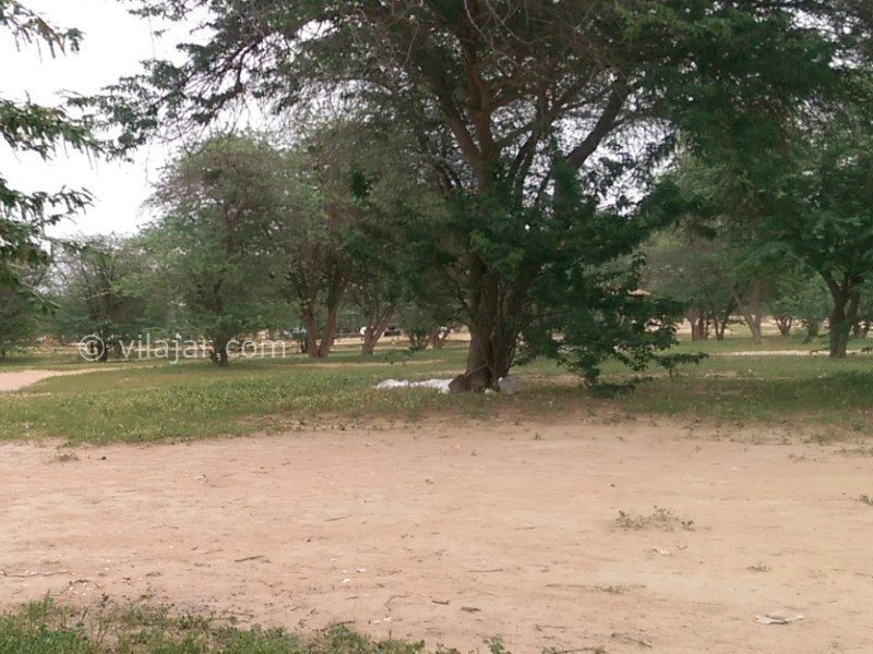 عکس شماره 11 - پارک جنگلی چاهکوتاه بوشهر