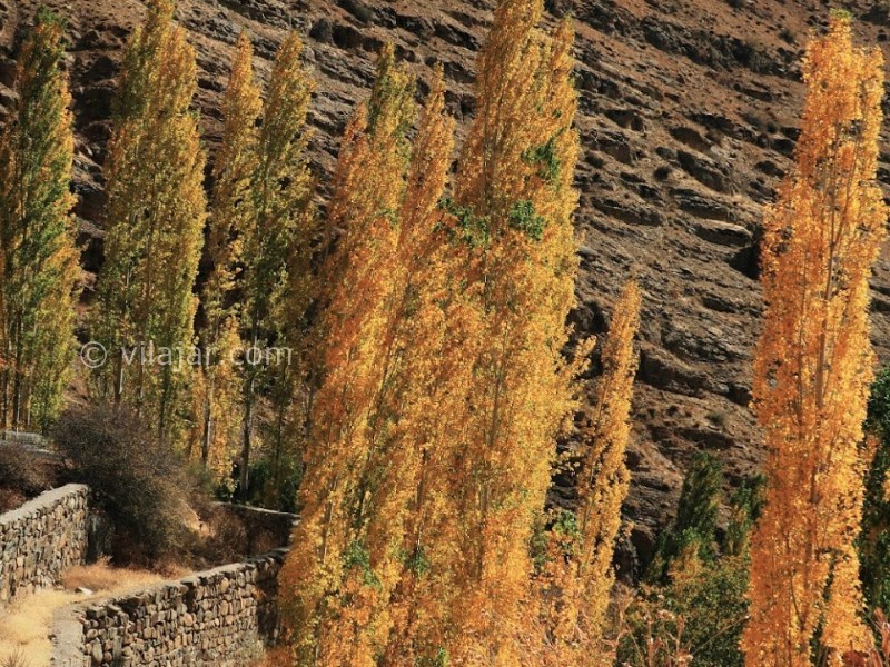 عکس شماره 9 - روستای برغان کرج