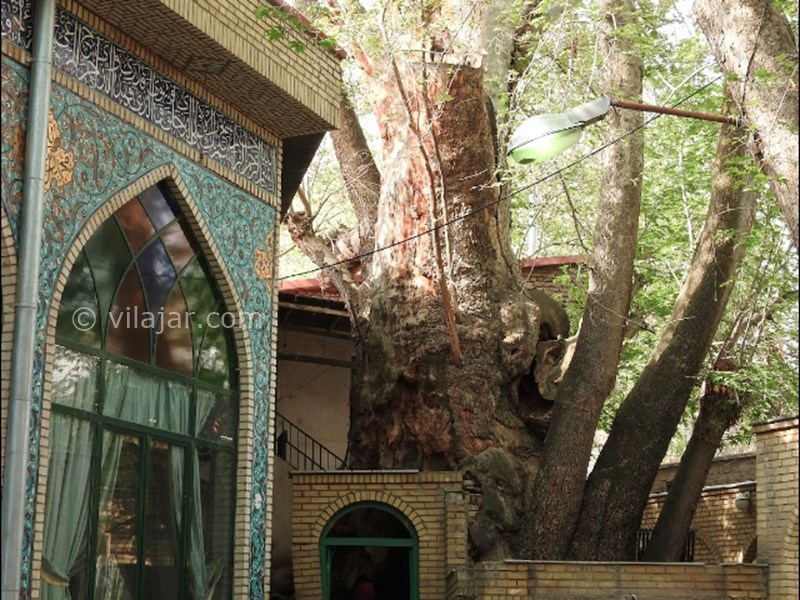 عکس شماره 12 - روستای برغان کرج