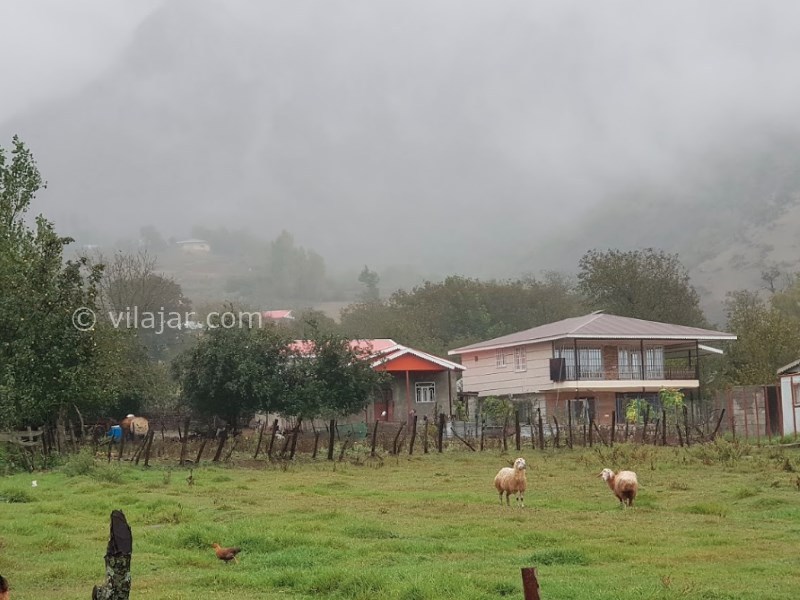 عکس شماره 3 - ییلاق مریان تالش