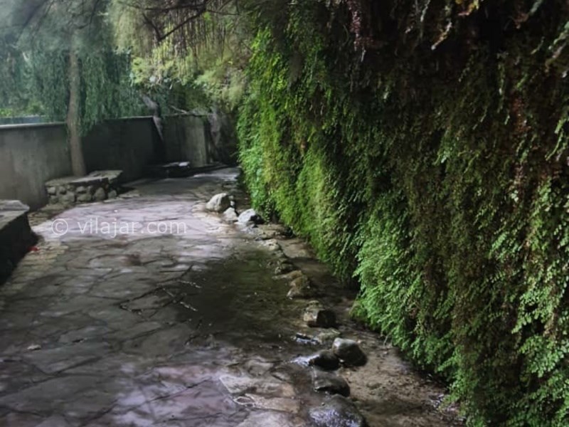 عکس شماره 3 - بوستان نهج البلاغه تهران