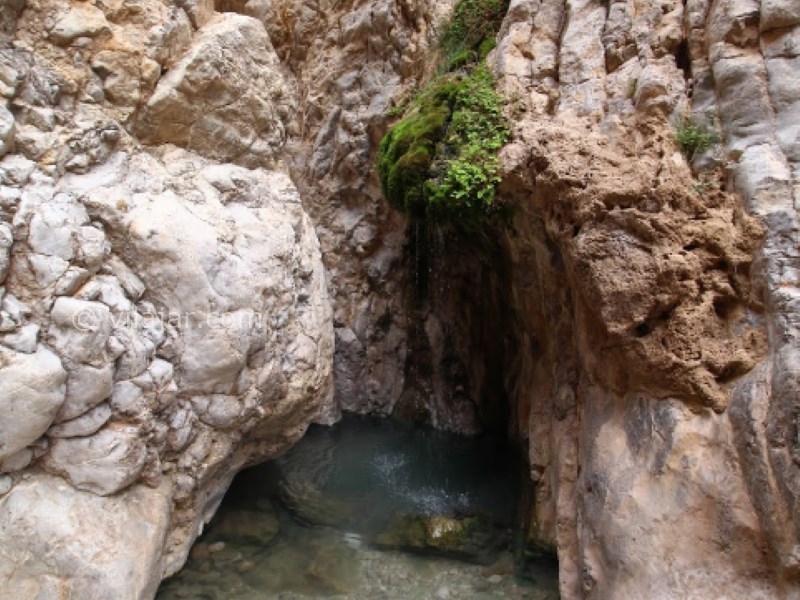 عکس شماره 7 - چشمه آبگرم مرتضی علی