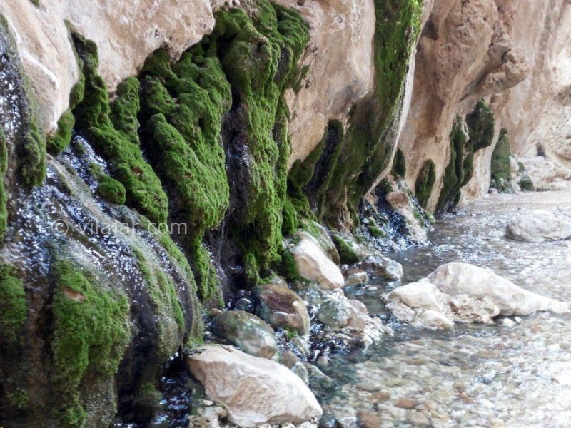 عکس شماره 12 - چشمه آبگرم مرتضی علی