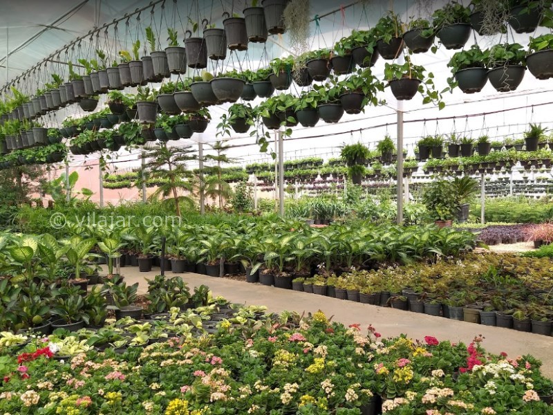 عکس شماره 17 - دهکده گل محلات