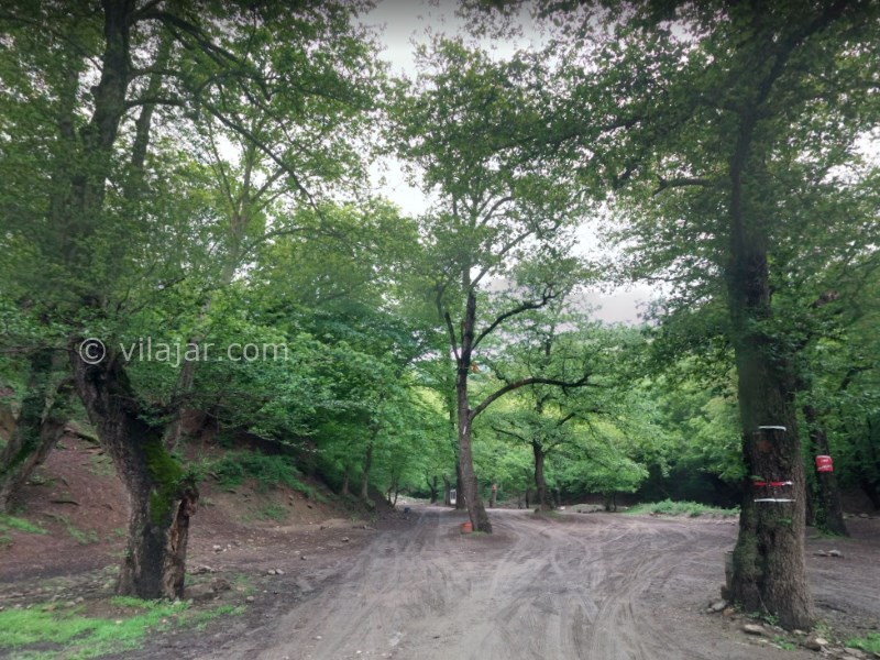 عکس شماره 10 - دریاچه شورمست کجاست؟