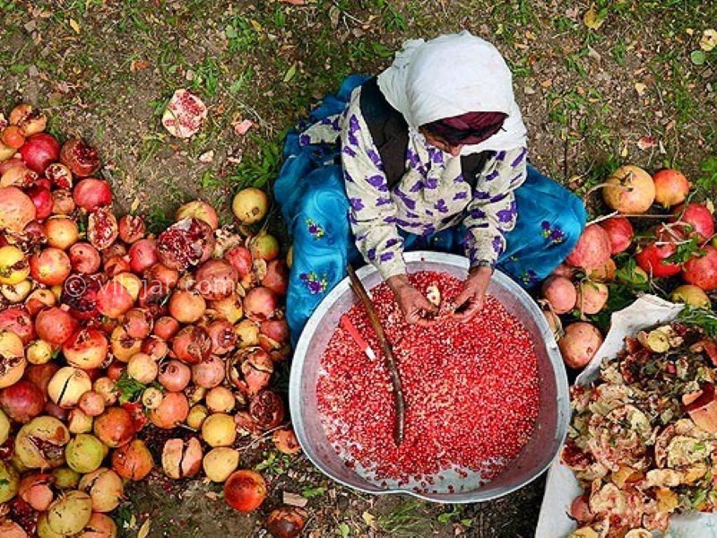 عکس شماره 5 - جشن انار در ایران