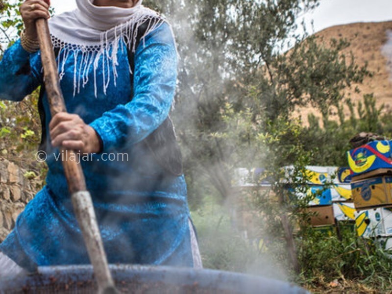 عکس شماره 10 - جشن انار در ایران