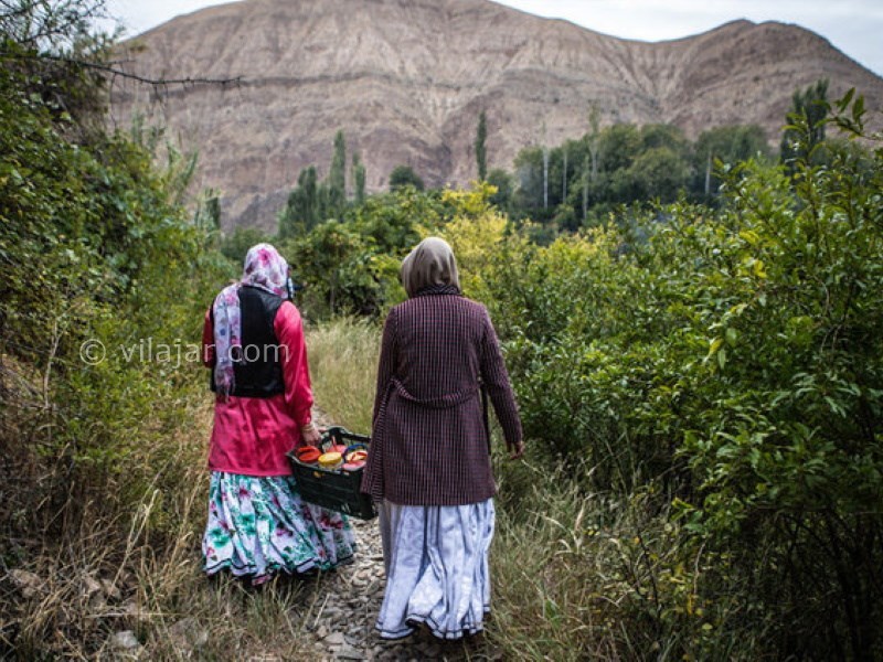 عکس اصلی شماره 11 - جشن انار در ایران