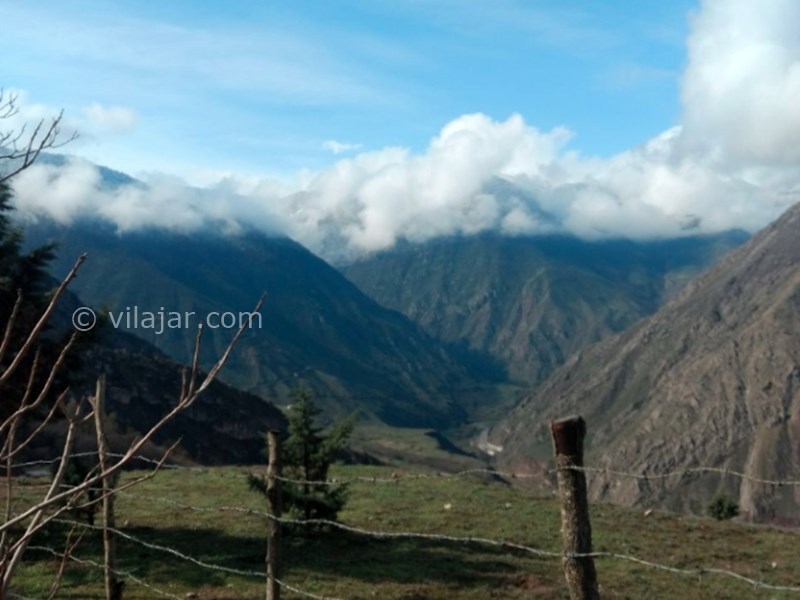 عکس شماره 14 - جنگل الیمستان کجاست؟