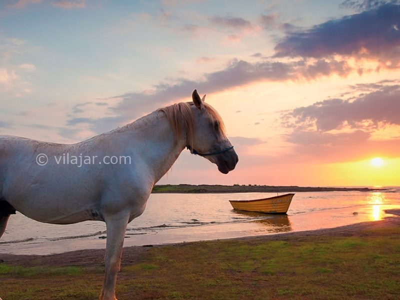 عکس شماره 11 - زیباکنار کجاست؟