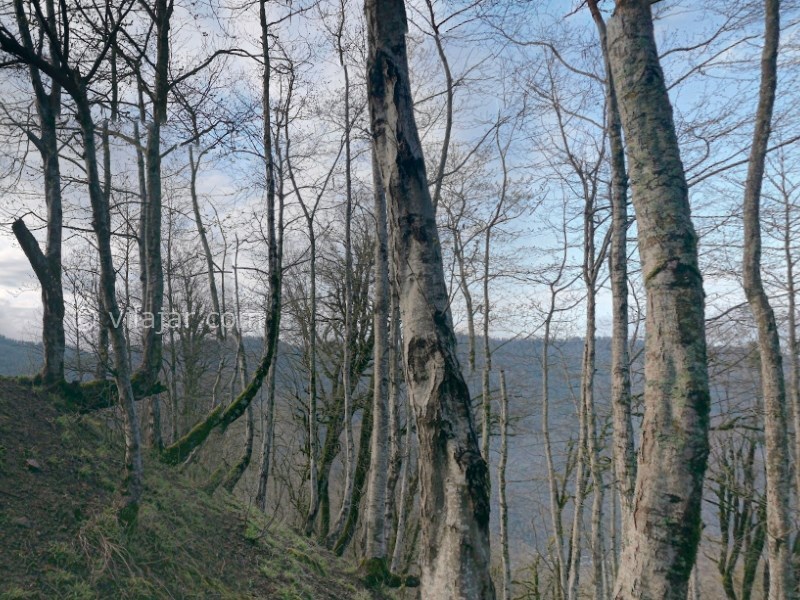 عکس شماره 7 - منطقه بلوردکان (بلور دوکان)