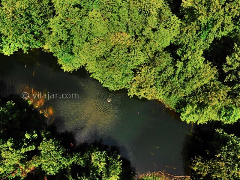 عکس شماره 8 - تالاب فراخین (دریاچه فراخین)