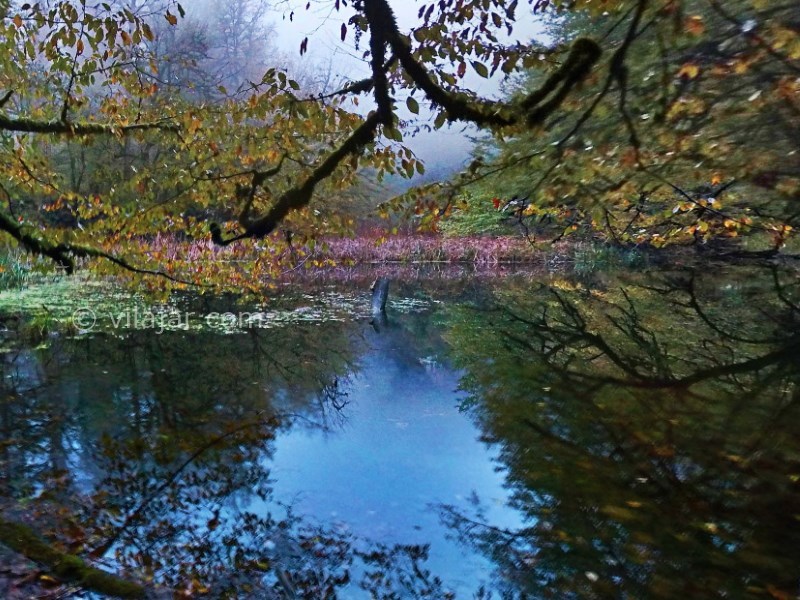 عکس شماره 10 - تالاب فراخین (دریاچه فراخین)