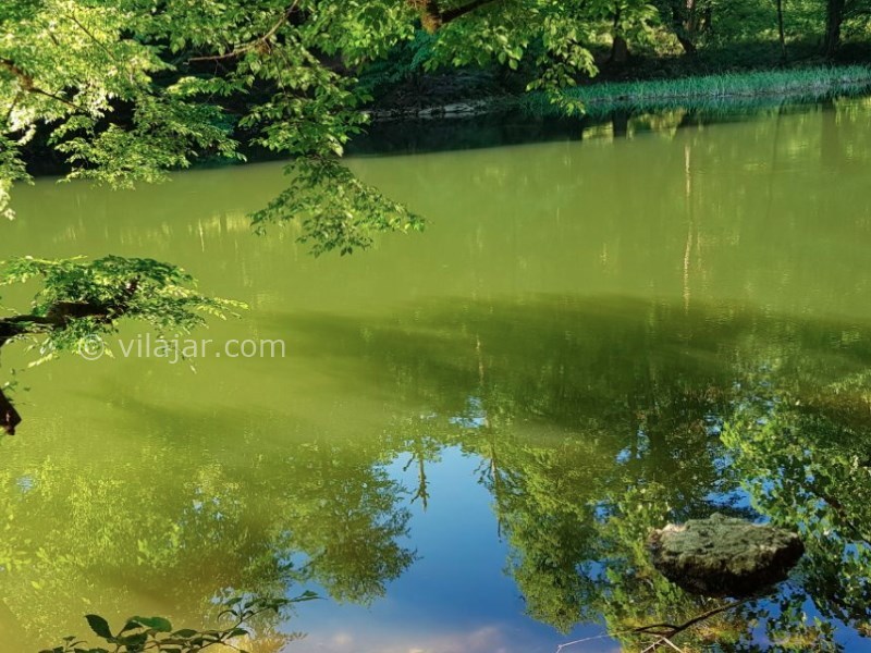 عکس شماره 11 - تالاب فراخین (دریاچه فراخین)