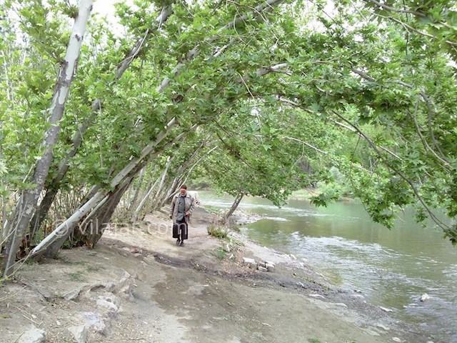 عکس شماره 12 - گردشگرى در باغبهادران اصفهان