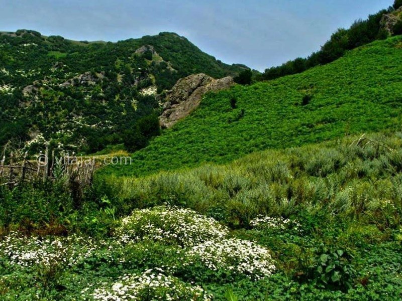عکس شماره 7 - روستای چی چی نی کوتی