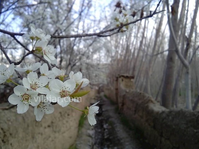 عکس شماره 14 - گردشگرى در باغبهادران اصفهان