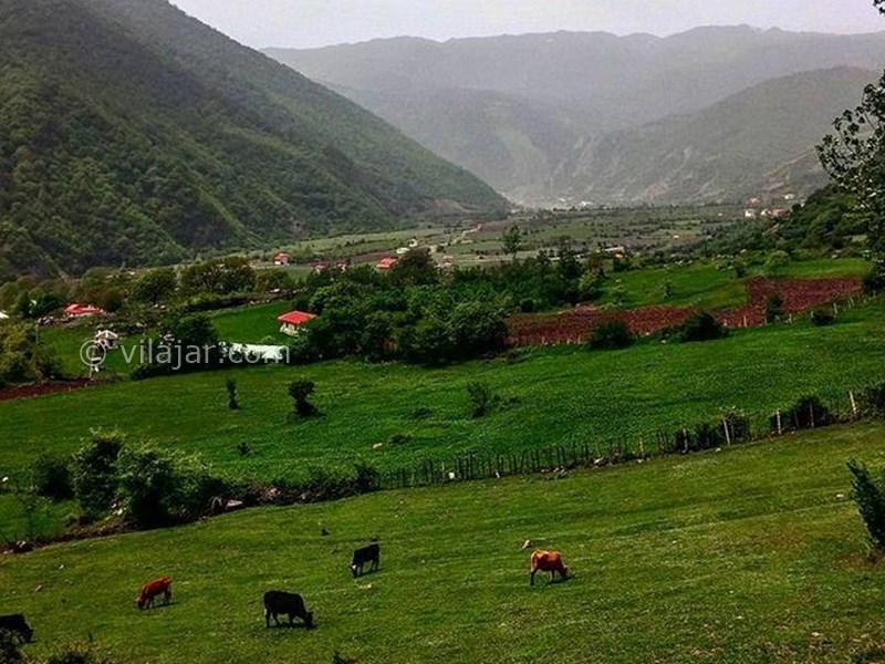 عکس شماره 8 - ییلاق آق اولر تالش