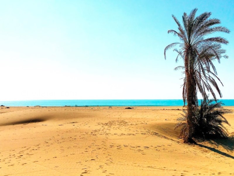 عکس شماره 5 - ساحل روستای درک در سیستان