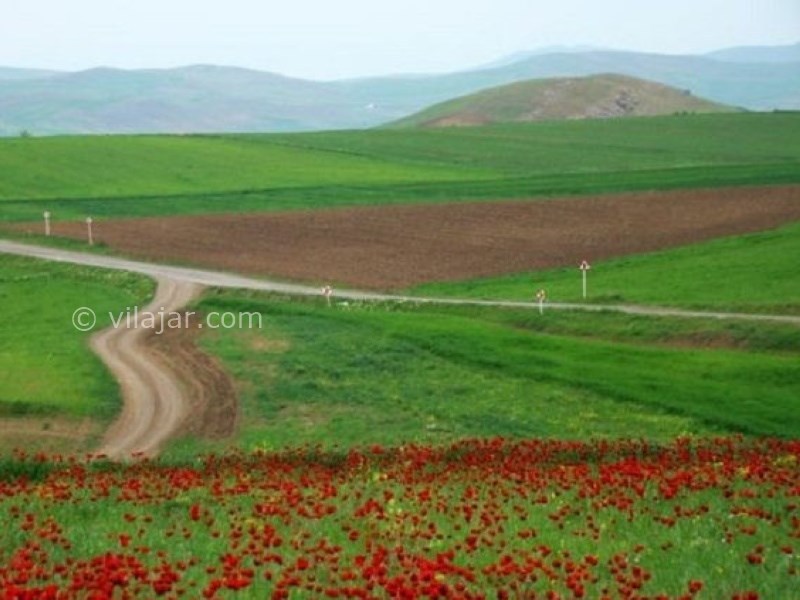 عکس شماره 13 - دشت مغان اردبیل