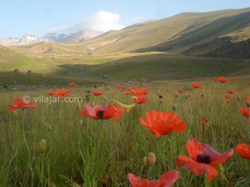عکس شماره 14 - دشت مغان اردبیل