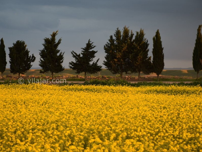 عکس شماره 15 - دشت مغان اردبیل