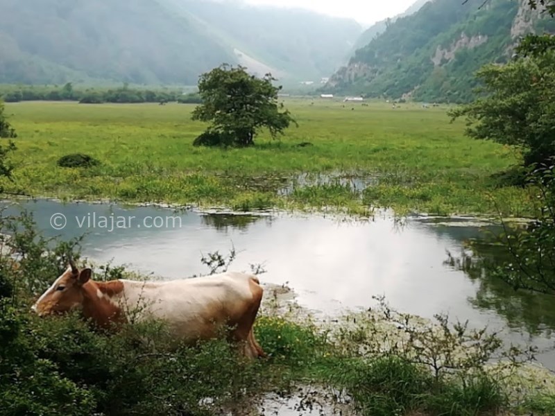 عکس شماره 10 - دشت دریاسر کجاست؟