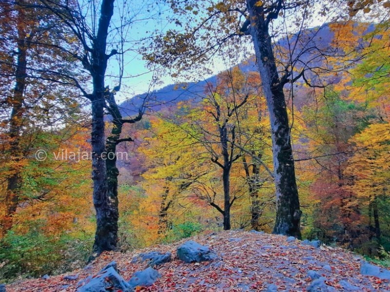 عکس شماره 12 - دشت دریاسر کجاست؟