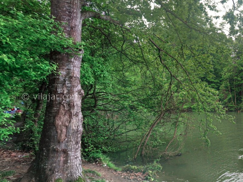 عکس شماره 19 - دریاچه الیمالات نور