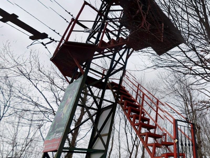 عکس شماره 7 - زیپ لاین تله کابین رامسر