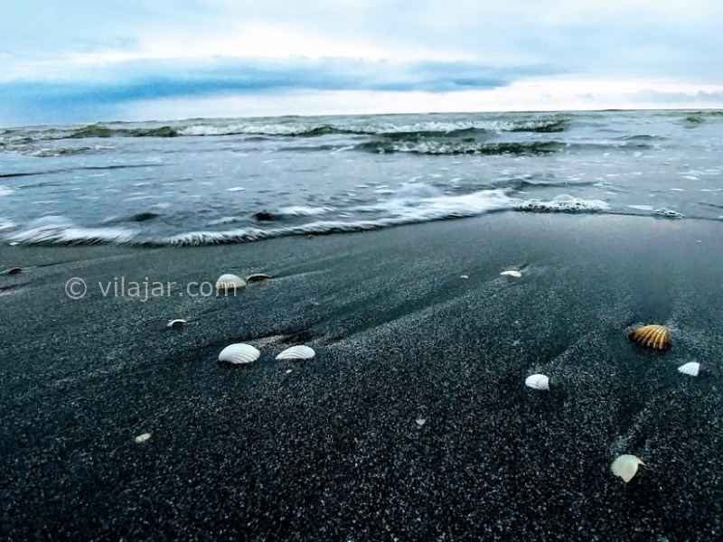 عکس شماره 6 - ساحل صدف در آستارا