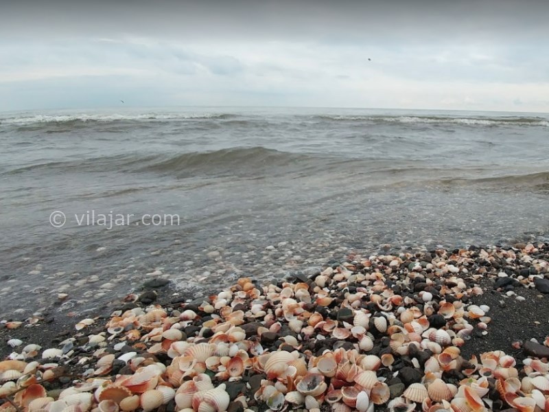 عکس شماره 8 - ساحل صدف در آستارا