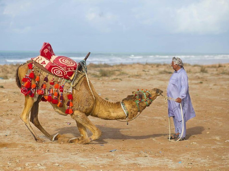 عکس شماره 21 - روستا و بندر بریس