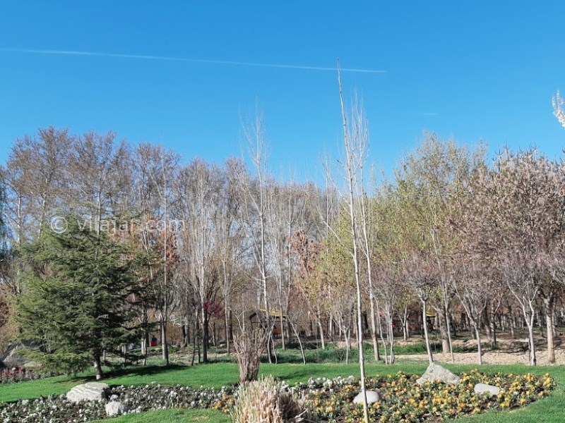 عکس شماره 8 - باغ فاتح (پارک تنیس) کرج