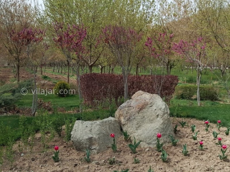 عکس شماره 9 - باغ فاتح (پارک تنیس) کرج