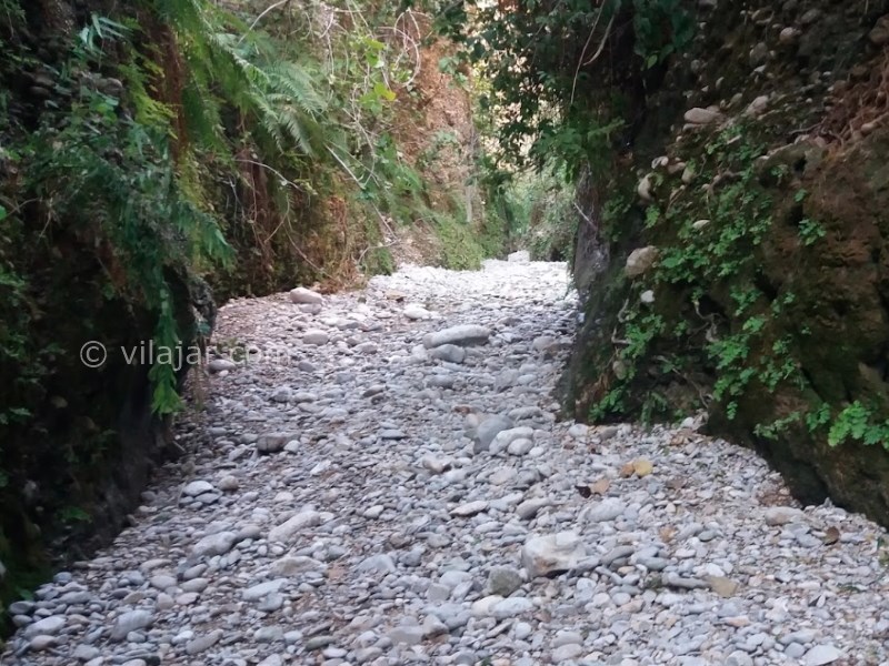 عکس شماره 6 - دره انار در خوزستان