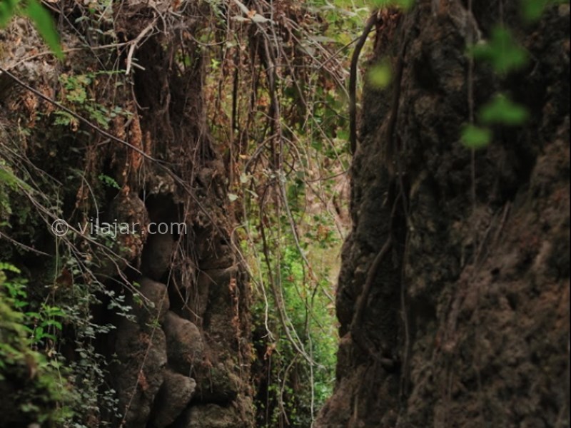 عکس شماره 7 - دره انار در خوزستان