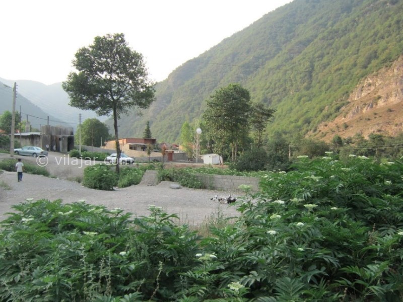 عکس شماره 6 - طبیعتگردی از فشم تا سیسنگان