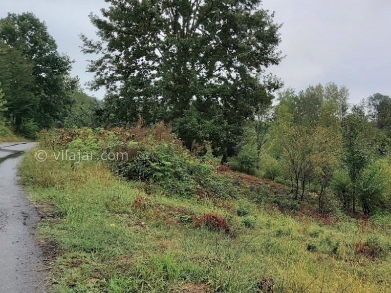 عکس شماره 8 - لیلا کوه لنگرود