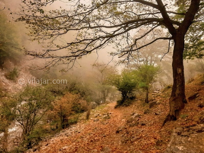 عکس شماره 3 - آبشار زانوس در کجور نوشهر