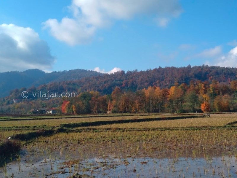 عکس شماره 4 - ییلاق شالما در ماسال