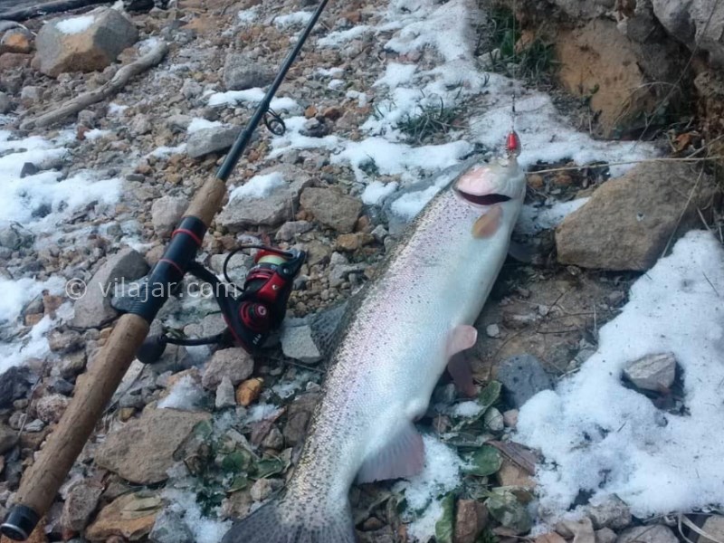 عکس شماره 6 - دریاچه امامزاده علی (پشنگ)