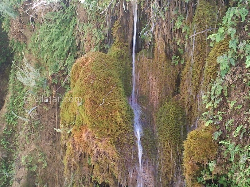 عکس شماره 10 - آبشار بی بی سیدان و چشمه ناز