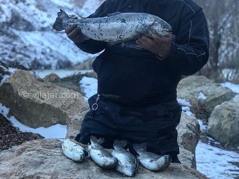 عکس شماره 8 - دریاچه امامزاده علی (پشنگ)