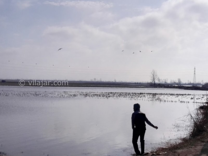 عکس شماره 8 - تالاب سرخرود