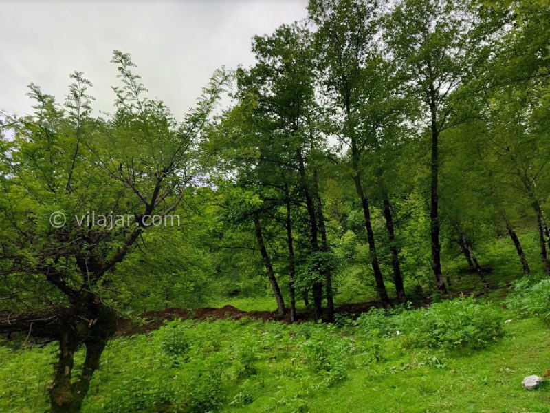 عکس شماره 6 - آبشار رامینه در ماسال